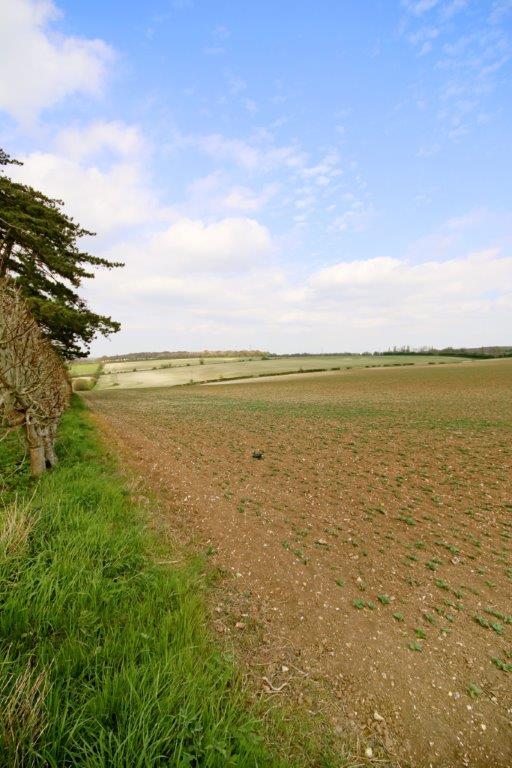 Chartham Graham John